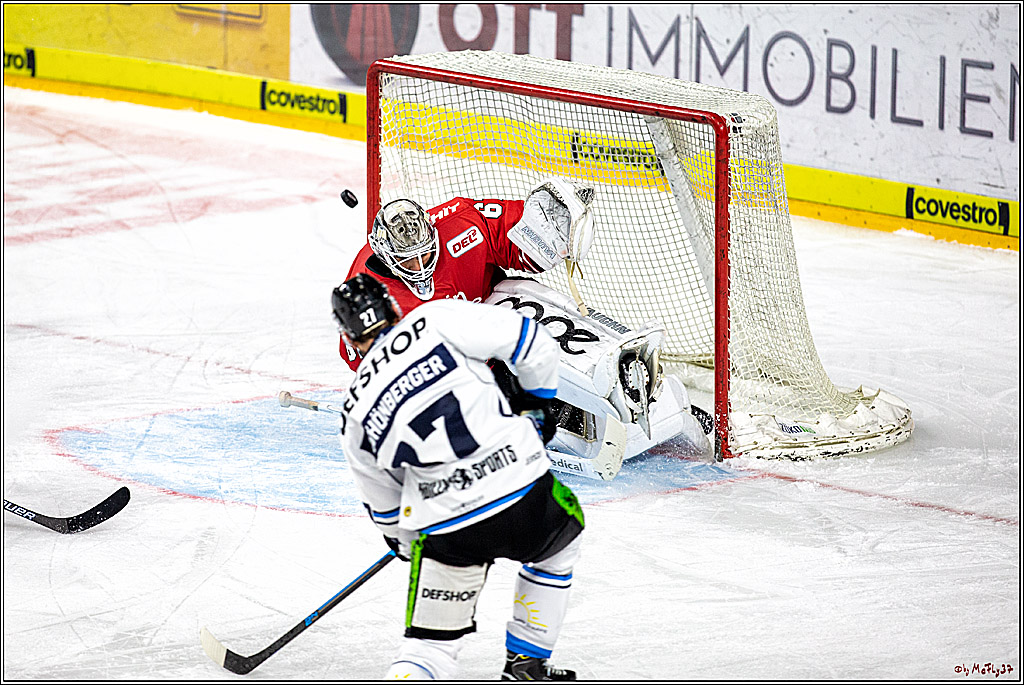 DEL; Koelner Haie - Straubing Tigers; Koeln, 17.11.2019
